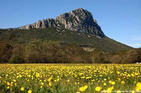 pic saint loup randonnée