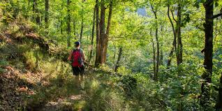 chemin de randonnée autour de moi