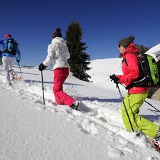 randonnée en raquette