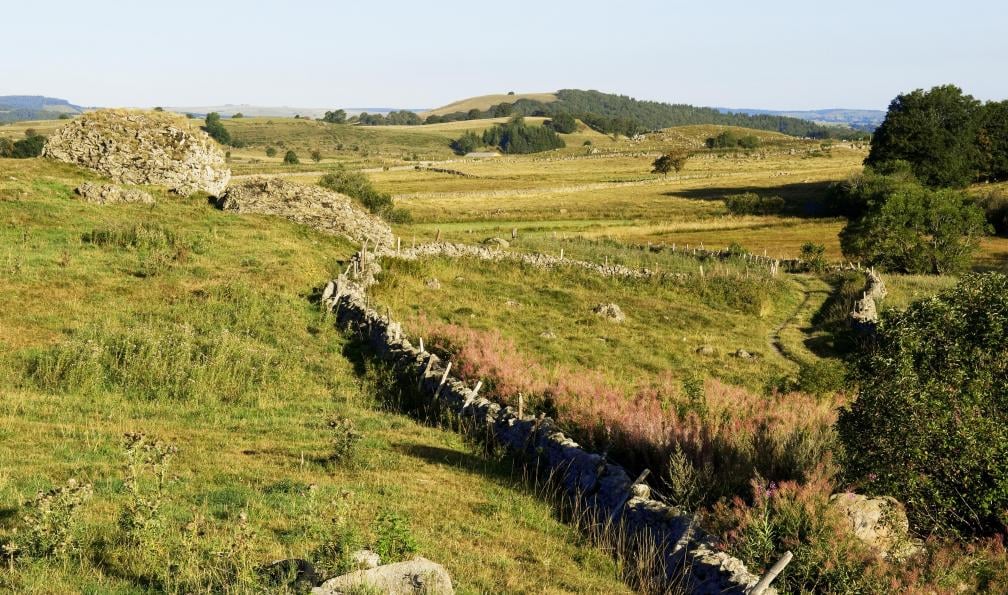 stevenson randonnée