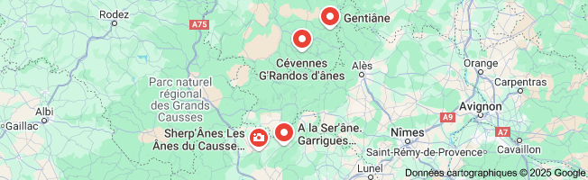 randonnée avec un âne dans les cévennes